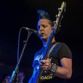 Click to enlarge GutterPunk - Professional Concert Photography